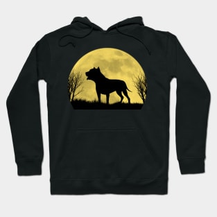 Staffordshire bull terrier Hoodie